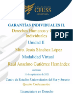 Garantias Individuales II