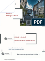Unidad 1 Sesión 3 - Organización Celular y Tipos de Enlaces