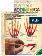 BM Anatomia Cromodinamica Atlas Anatomico para Colorear