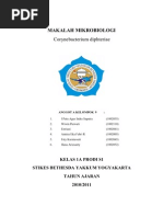 Download MAKALAH MIKROBIOLOGI by Ester Tukiran SN59348998 doc pdf