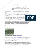 Bosques y Erosion