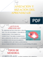 Organización y Optimización Del Aprendizaje