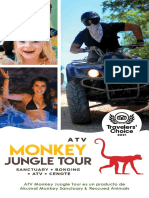 Folleto Monkey Jungle