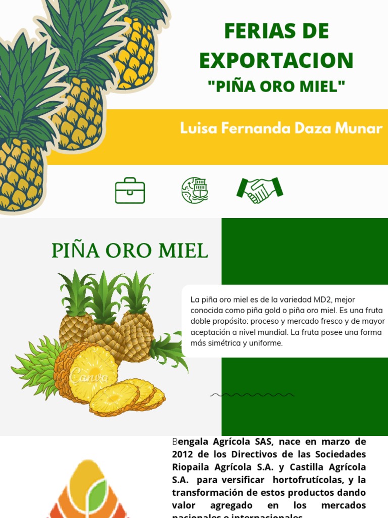 Exportación de Piña Oro Miel MD2 | PDF | Economias