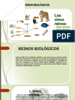 Los 5 reinos biológicos: Plantae, Animalia, Fungi, Protista y Monera