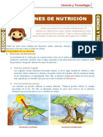 Funciones de Nutrición