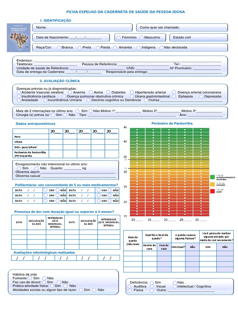 Ficha Espelho Da Caderneta De Saúde Da Pessoa Idosa 5 Edição Pdf