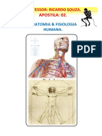 Anatomia e fisiologia humana: planos anatômicos e conceitos básicos