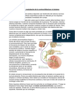 Frecuencia Cardiaca