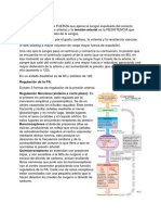 Presion Arterial