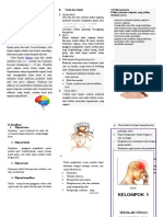 Leaflet Migrain 3 PDF Free