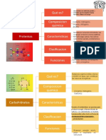 Cuadro Comparativo Biomoleculas