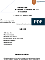 Unidad IV-Clasificacion de Los Musculos