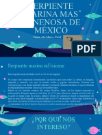 Serpiente Marina Mas Venenosa de Mexico