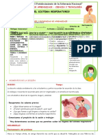 Cuida tu sistema respiratorio