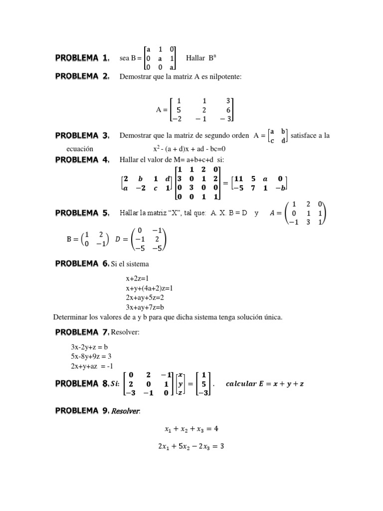 Problemas de matrices y soluciones | PDF