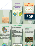 Triptico de Grupo de Agora Biologia 2022