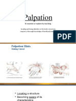 Introduction To Palpation