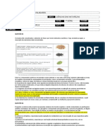 REPOSIÇÃO 1 ANO 1 TRIMESTRE