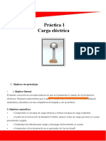 Practica 1 - Carga Electrica