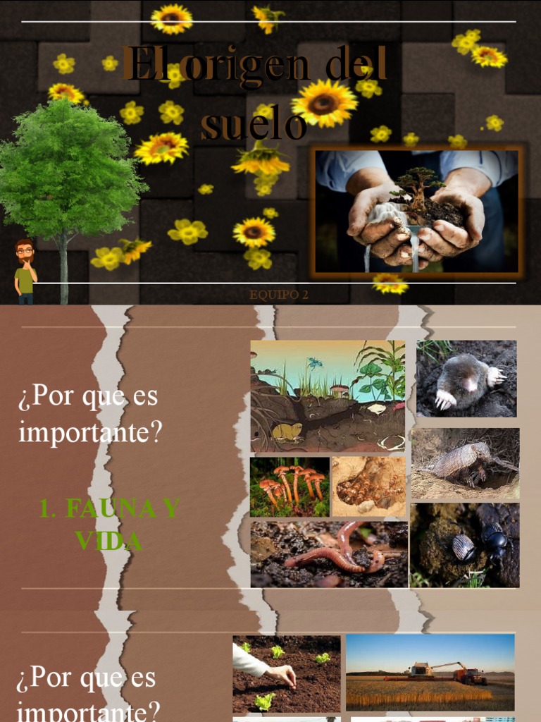 El Origen Del Suelo | PDF