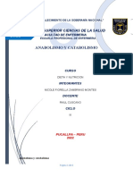 Catabolismo y Anabolsimo PDF