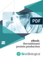 Recombinant Protein Production Ebook