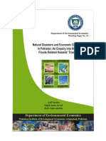Natural Disasters and Economic Growth in Pakistan: An Enquiry Into The Floods Related Hazards' Triad