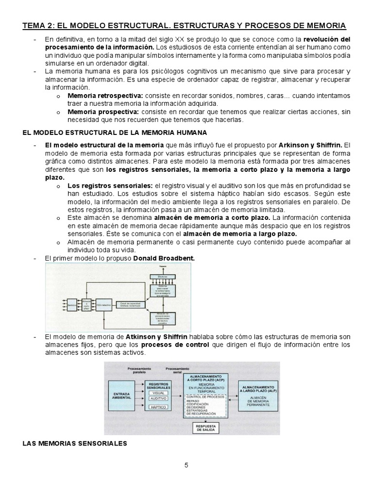 Tema 2 Psicología De La Memoria Uned Descargar Gratis Pdf Memoria