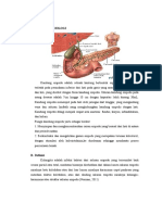 LP Cholangitis