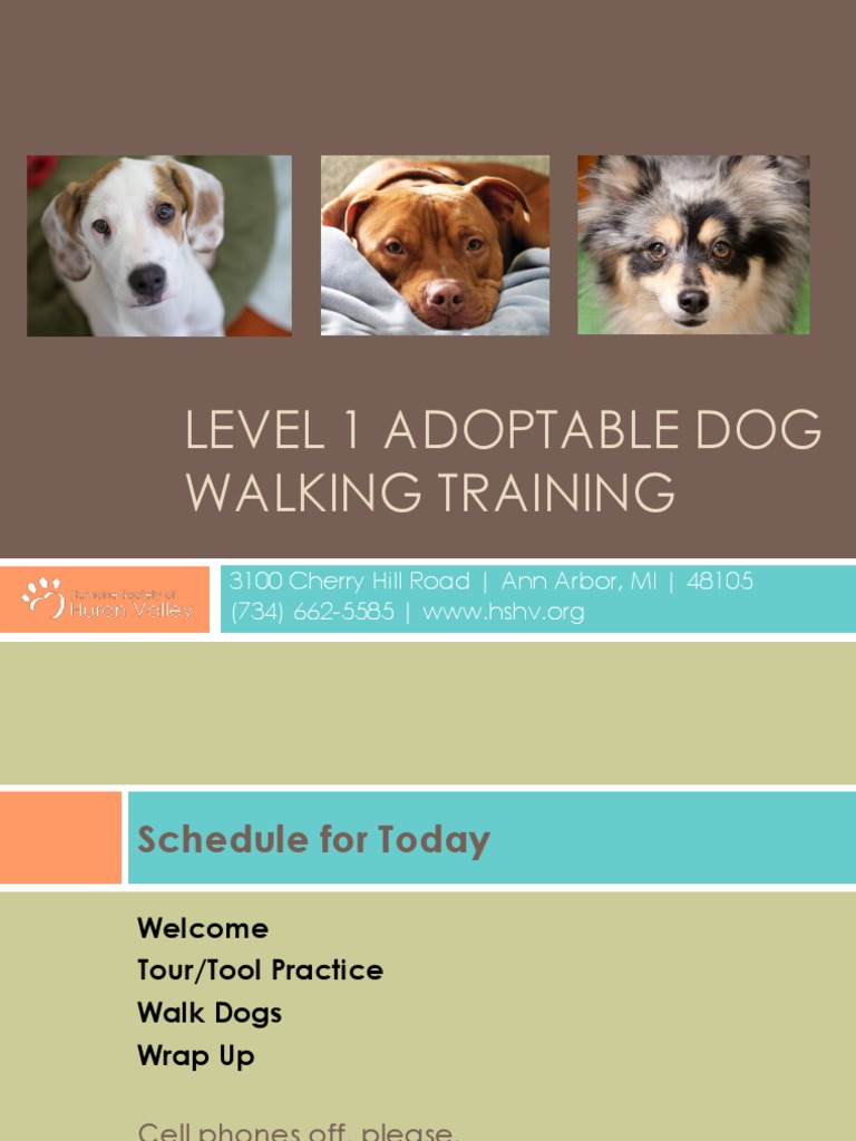 Level 1 Dog Walking Training PDF Leash Dogs