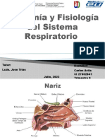 Anatomía y Fisiología Del Sistema Respiratorio