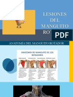 Lesiones Del Manguito Rotador