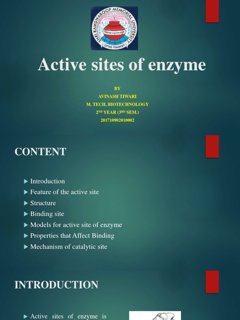 Active Site of Enzyme | PDF