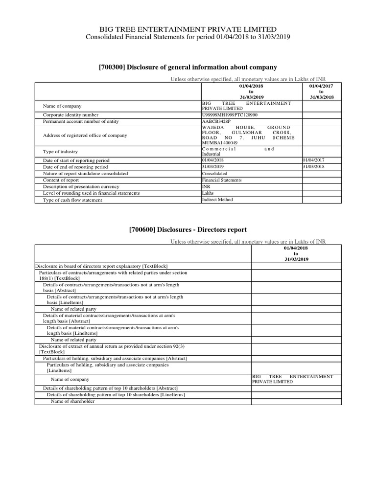 Balance Sheet Consolidated PDF Financial Audit Going Concern