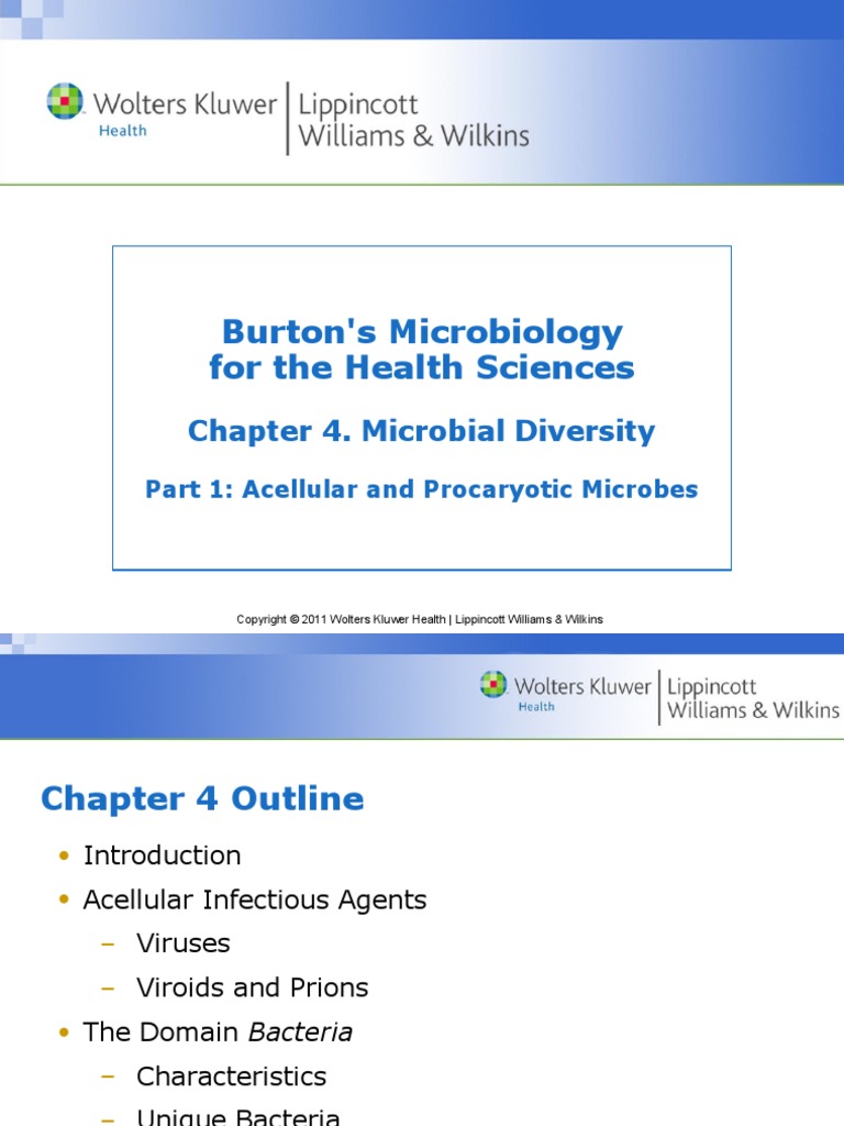 Chapter 04 Pdf Virus Bacteria