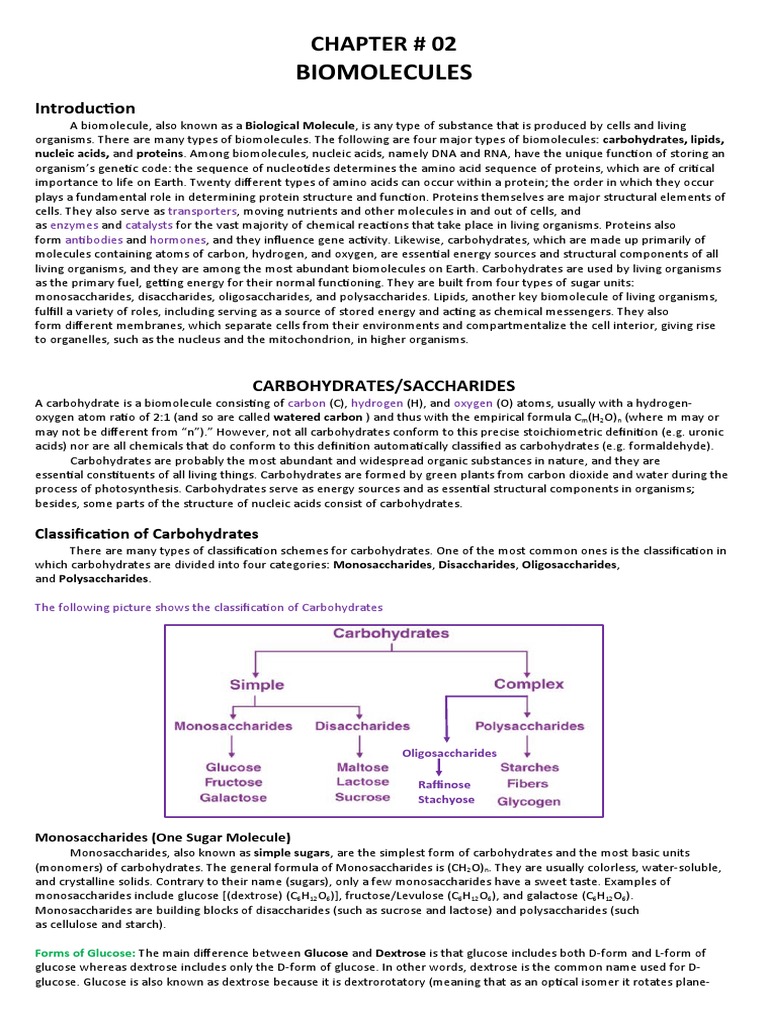 Understanding Biomolecules: Carbohydrates | PDF | Fat | Enzyme
