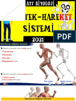 DESTEK VE HAREKET SİSTEMİ - 2021xd