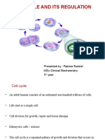 1 Cell Cycle 8.03