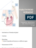 5 Parathyroid Hormone5