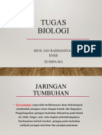 Jaringan Tumbuhan