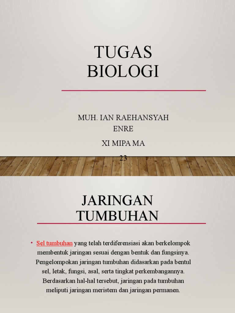 Jaringan Tumbuhan Pdf