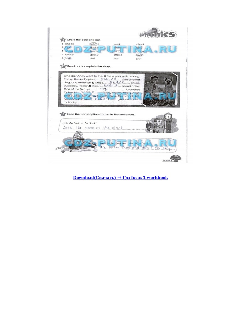 Гдз focus 2 workbook | PDF | Psycholinguistics | Cognition