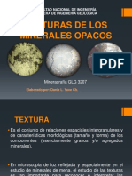 Texturas de Los Minerales Opacos