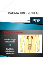 Trauma Pada Urogenital