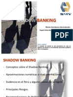 MarioShadow-Banking MZB 16032015