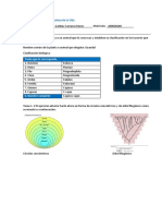 Tarea 1.1 Clasificación de Los Seres Vivos