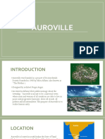 How Auroville Combines Sustainable Design and Human Unity