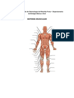 Atividade Sistema Muscular