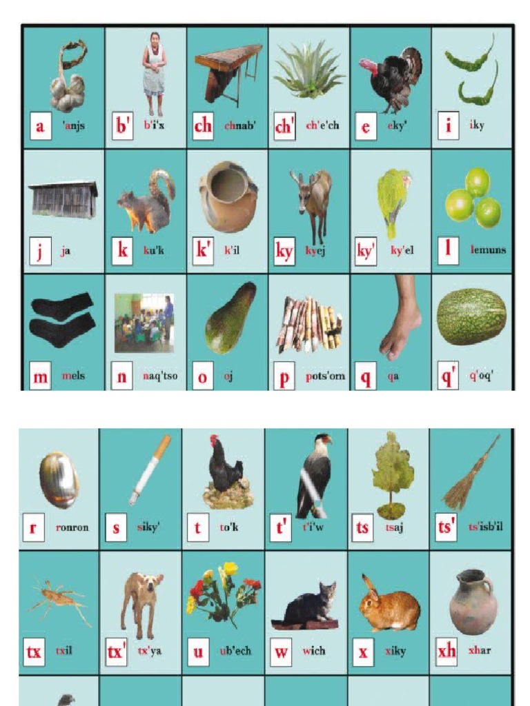 Abecedario Mam Ilustrado PDF